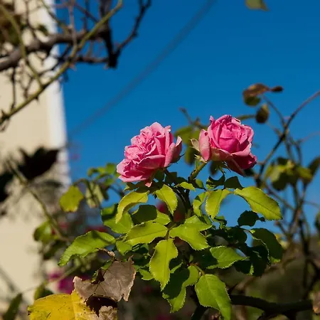 Apartamento Maria's House