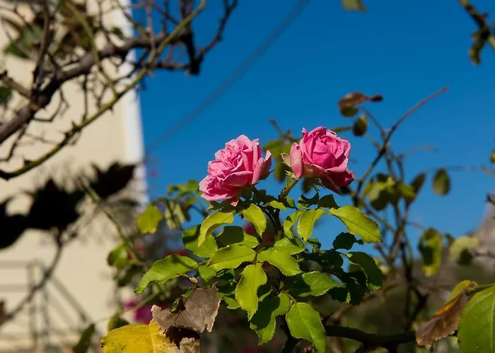 Apartamento Maria's House