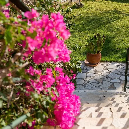 Maria's House Apartment Katelios