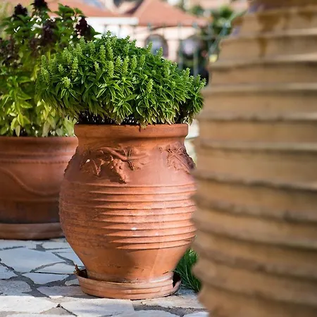 Apartment Maria's House *